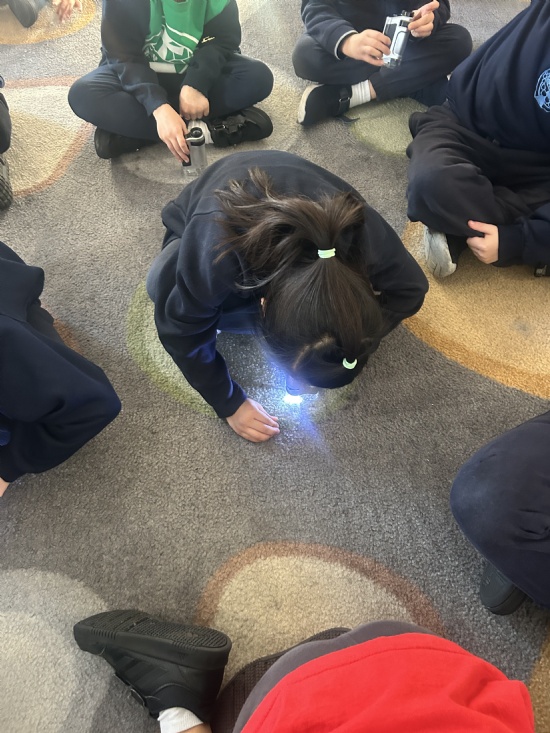 Toucans Crick Workshop